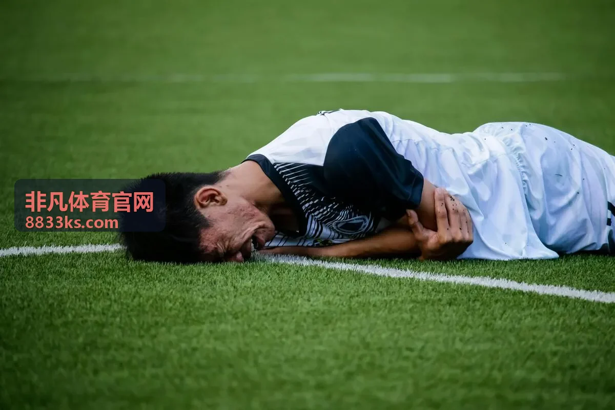 非凡体育官网UFC格斗之夜集锦